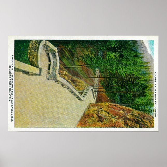 Póster Observatorio del nido del águila en el río Columbi (Frente)