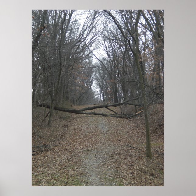 Póster Obstacle in the Road (Frente)