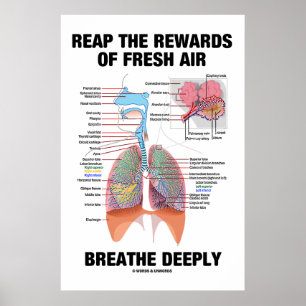 Póster Obtén Las Recompensas De La Respiración Del Aire F