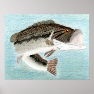 Póster Obtenido por D. Gillett - Grado 9