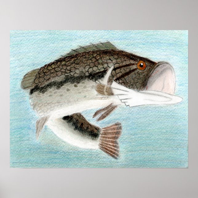 Póster Obtenido por D. Gillett - Grado 9 (Frente)