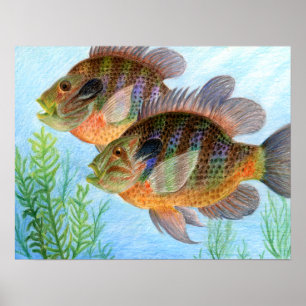 Póster Obtenido por E. Jiang - Grado 6