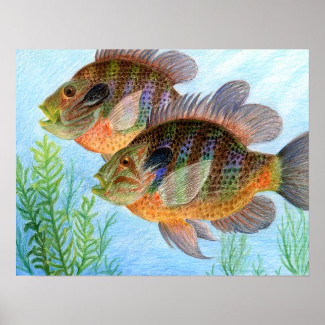 Póster Obtenido por E. Jiang - Grado 6 (Frente)