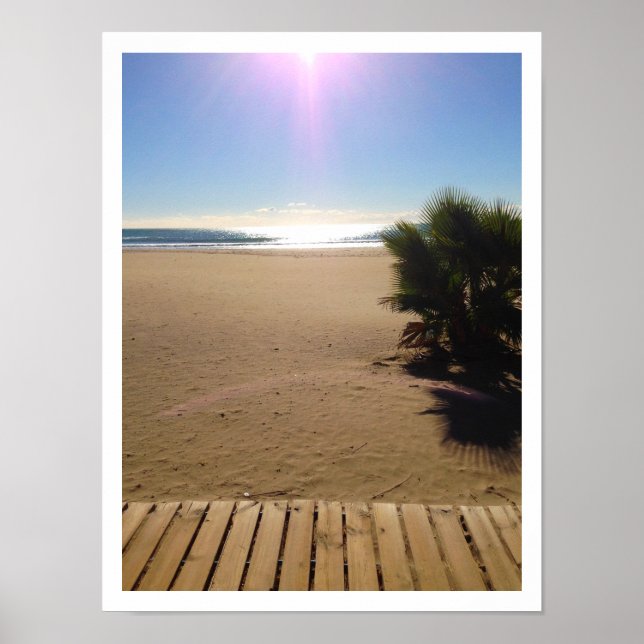 Póster Ocean View, Beach, Palm Tree, Boardwalk (Frente)
