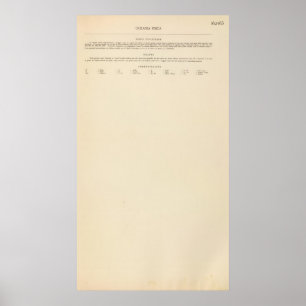 Póster Oceania physical Legend 16263