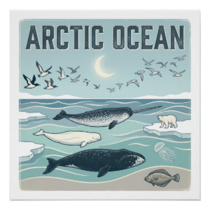 Póster Océano Ártico