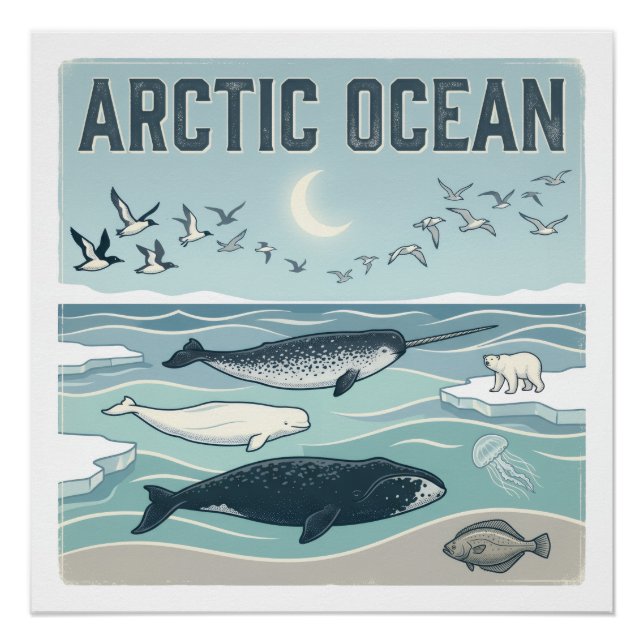 Póster Océano Ártico (Anverso)