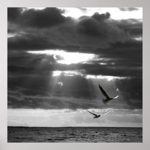 Póster Océano blanco y negro