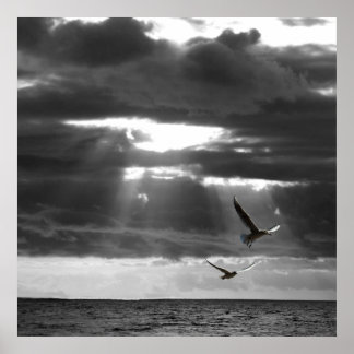 Póster Océano blanco y negro