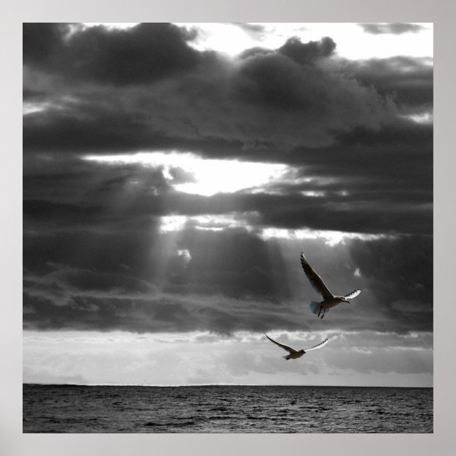 Póster Océano blanco y negro (Frente)