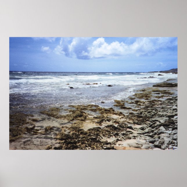 Póster Océano rocoso de Aruba (Frente)