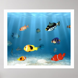 Póster Océanos De Pescado