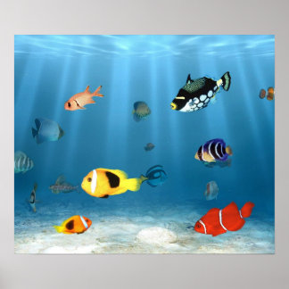 Póster Océanos De Pescado