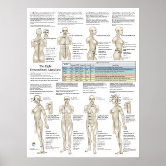 Póster Ocho meridianos extraordinarios de acupuntura extr