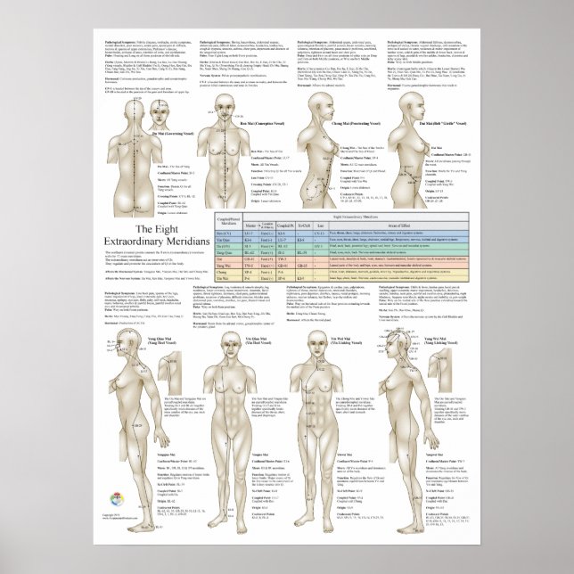 Póster Ocho meridianos extraordinarios de acupuntura extr (Frente)