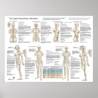 Póster Ocho meridianos extraordinarios de acupuntura extr