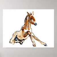 Ochre Foal
