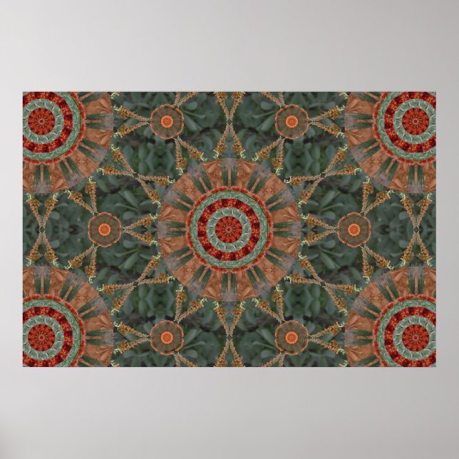 Póster Ocotillo Array 1 (Frente)