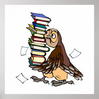 Póster Octavian Owl