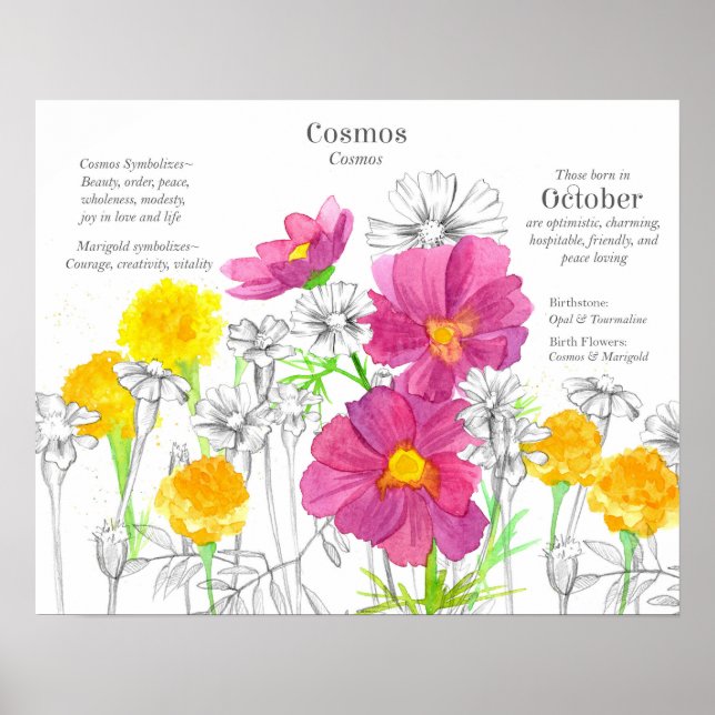 Póster October Birth Flower Language of Flowers Marigold (Frente)