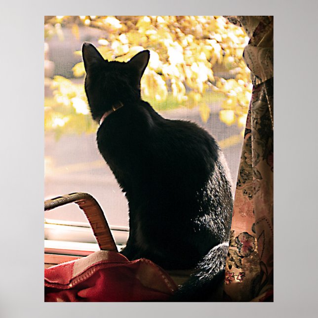 Póster October Day (Frente)