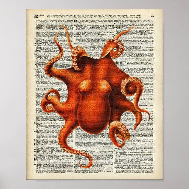 Póster Octopus (Frente)
