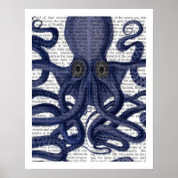 Octopus Arriba