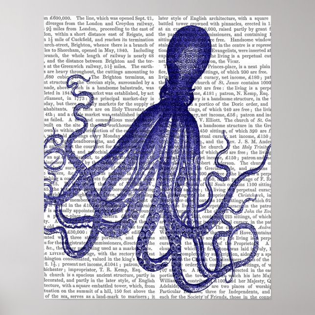 Póster Octopus azul (Frente)