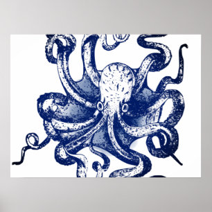 Póster Octopus azul