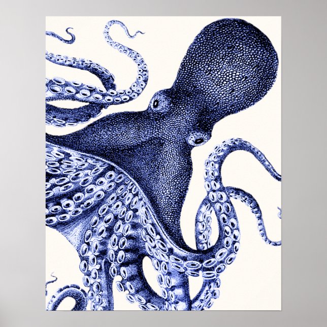 Póster Octopus azul paisajístico (Frente)