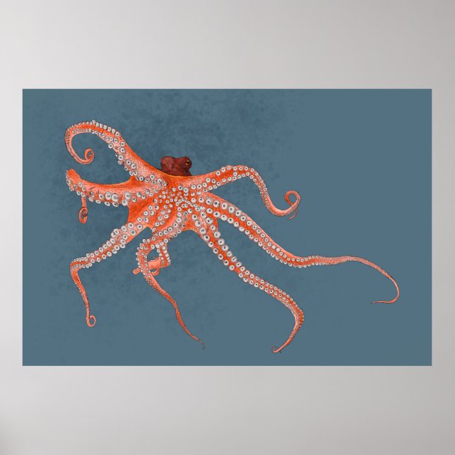 Póster Octopus Hugs (Frente)