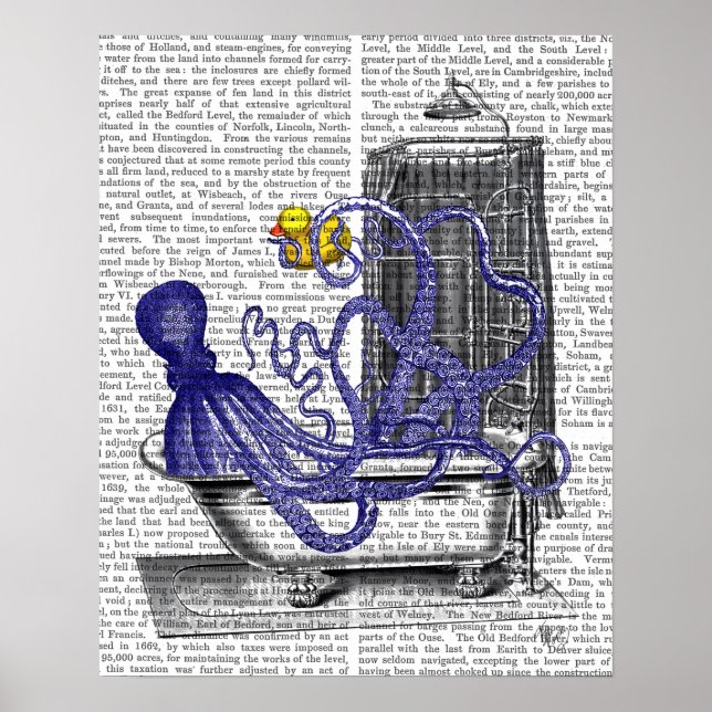 Póster Octopus in Bath (Frente)