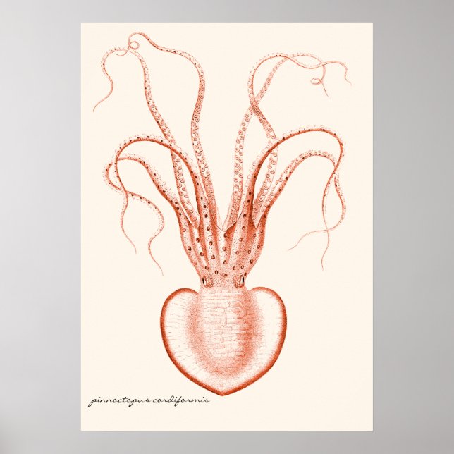 Póster Octopus oceanográfico científico de la vida marina (Frente)