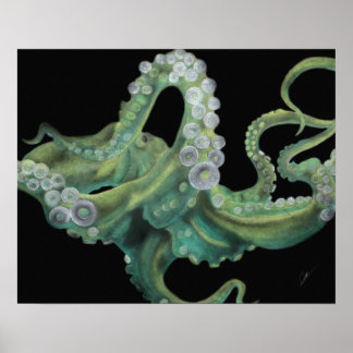 Póster Octopus verde 20 x 16