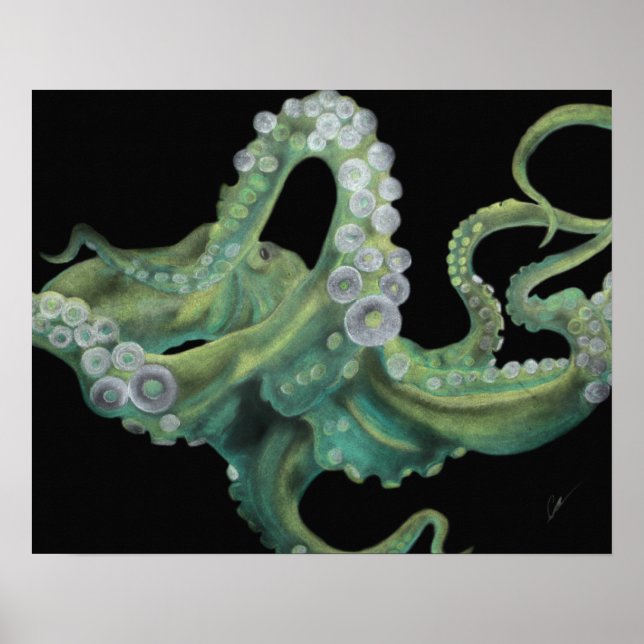 Póster Octopus verde 20 x 16 (Frente)