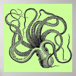 Póster Octopus verde marino