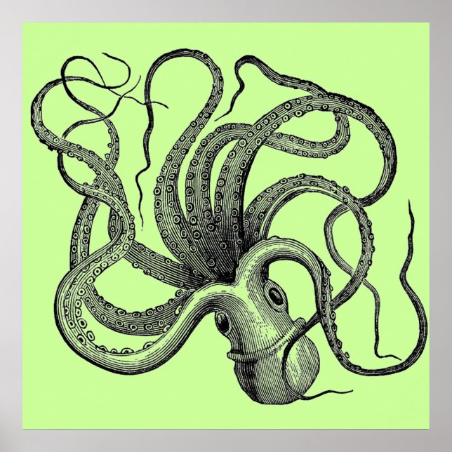 Póster Octopus verde marino (Frente)