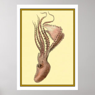Póster Octopus vintage