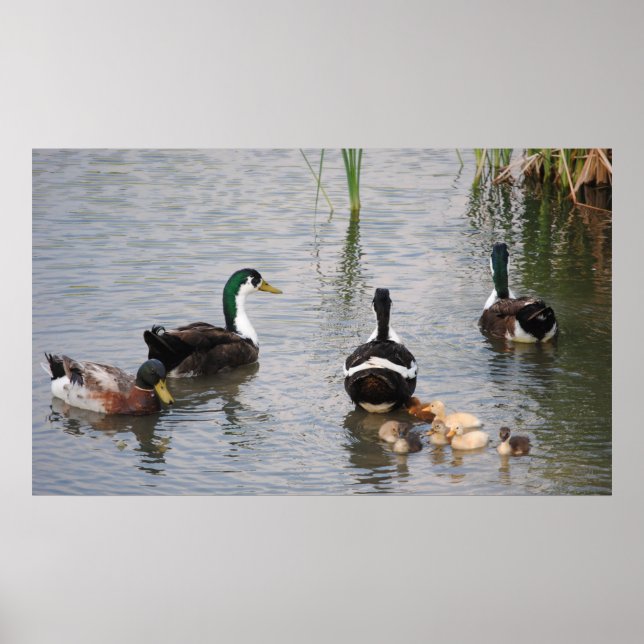 Póster Ocupado no es nada (Frente)