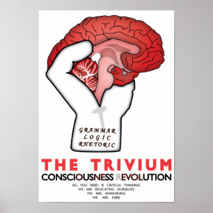 Póster Ocupar El Tribio