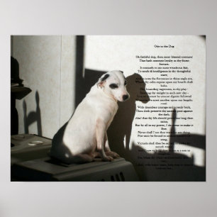 Póster Ode Al Perro