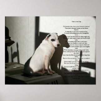Póster Ode Al Perro