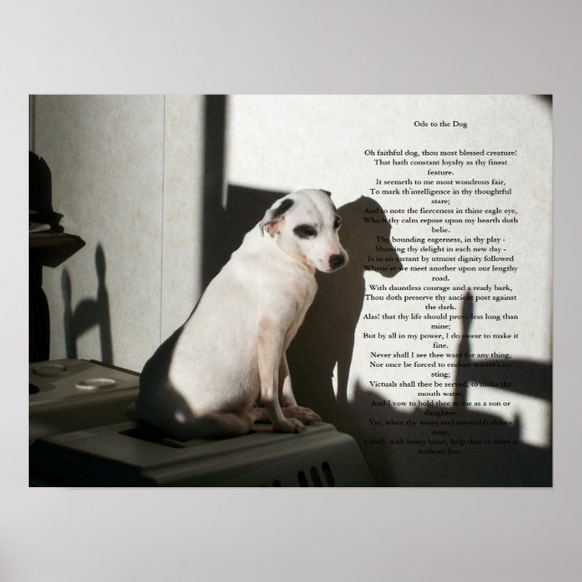 Póster Ode Al Perro (Frente)