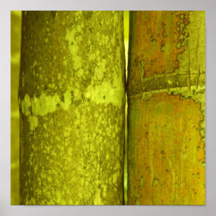 Póster Ode To Bamboo