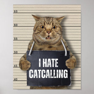 Póster Odio a Catcall
