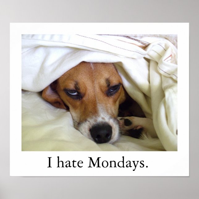 Póster Odio los lunes. (Frente)