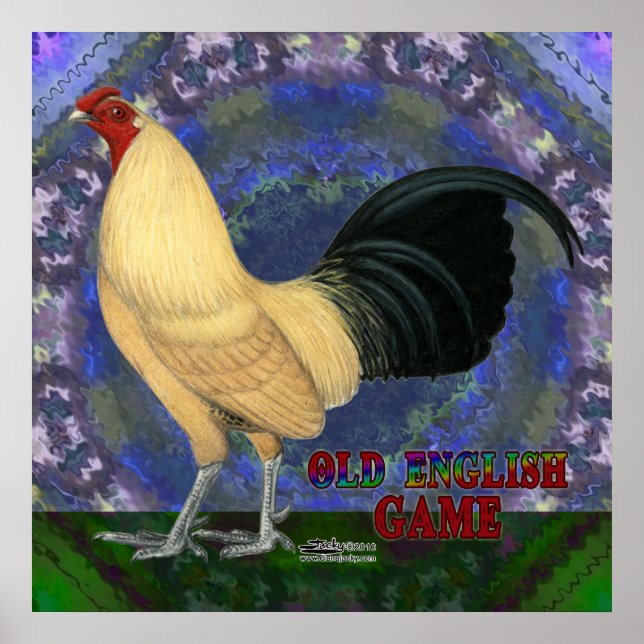 Póster OEG Bantam Cream Buttercup (Frente)