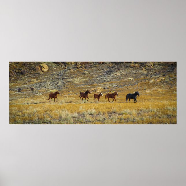 Póster Oeste salvaje (Frente)