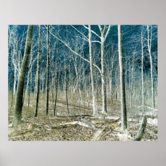 Póster Off the Path version 1