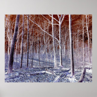 Póster Off the Path version 2